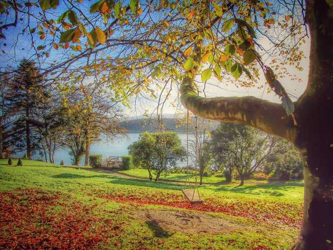 Autumn Swings By', Chateau Rhianfa, Menai Bridge (November 2019)